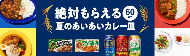 サントリー ハウス食品 夏のあいあいカレー皿 スタートダッシュキャンペーン サントリー