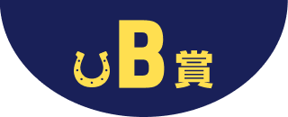 B賞