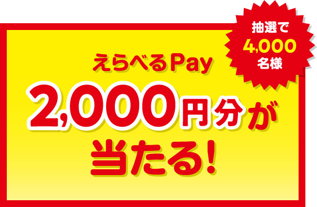 抽選で4,000名様にえらべるPay2,000円分が当たる！